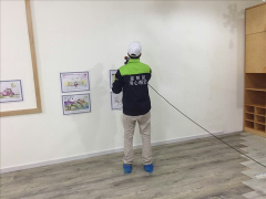 能够说正在全国范畴内都激发了一场室内绿